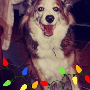 Meet your Posher, Beverly